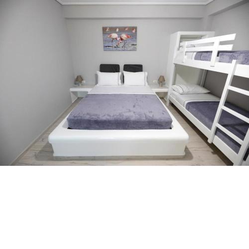 Guest House Narta