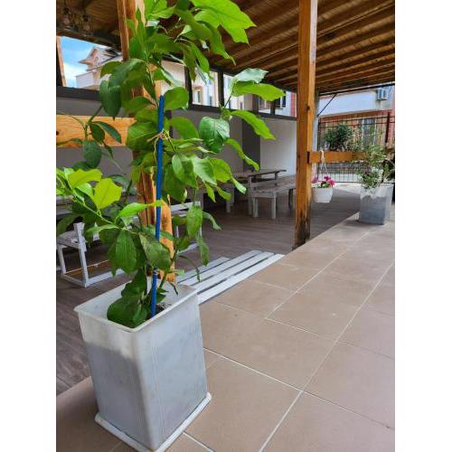 Guest House Petrovi