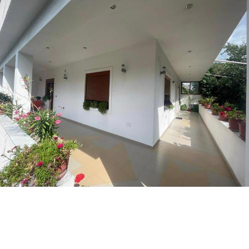 Guest House Pogradec