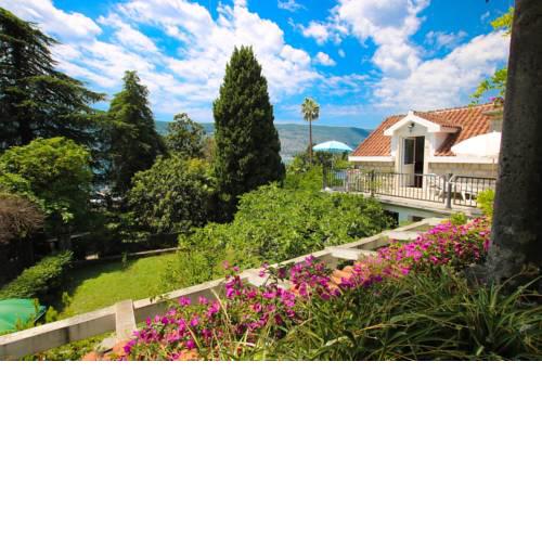 Guest House Saga