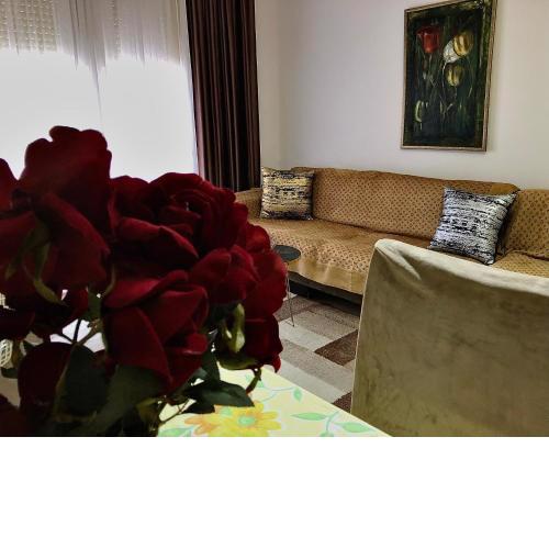 Guest House Shyti