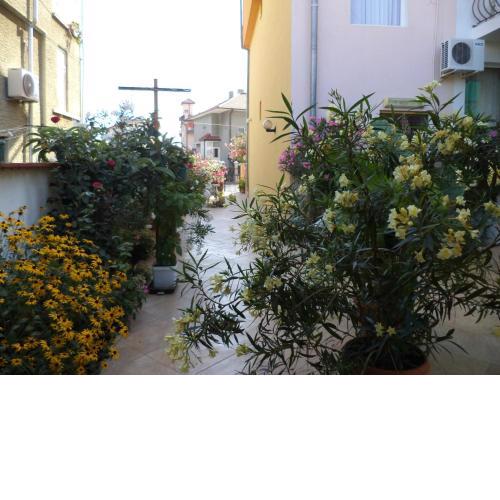 Guest house Stoyanovi