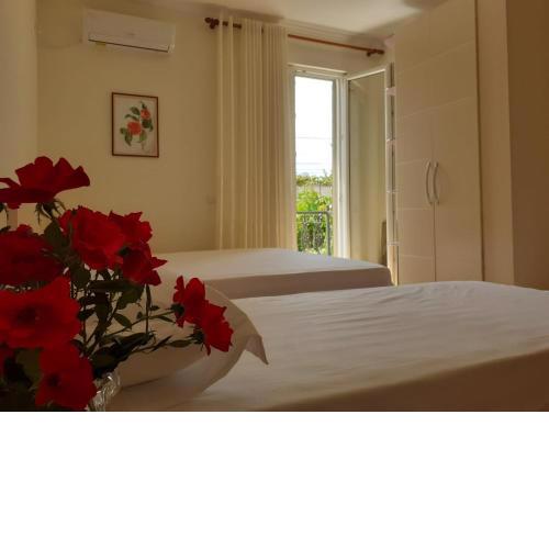 Guest House Zadeja