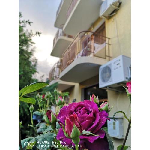 Guest House "Zora - Sarafovo"