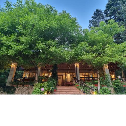 Guesthouse Alberti Llogara