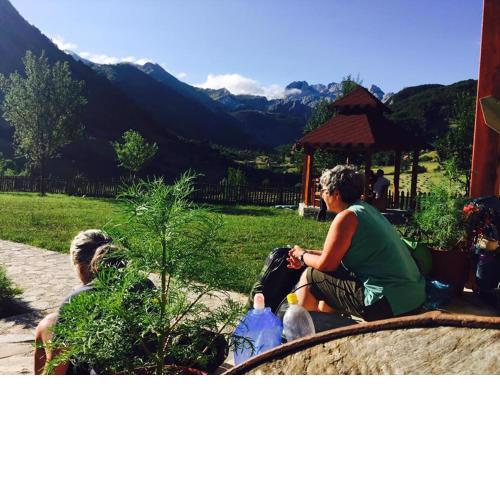 Guesthouse Alpini
