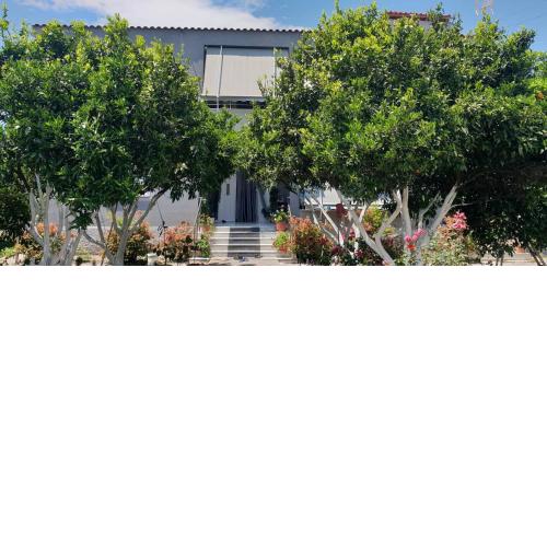 Guesthouse Anila