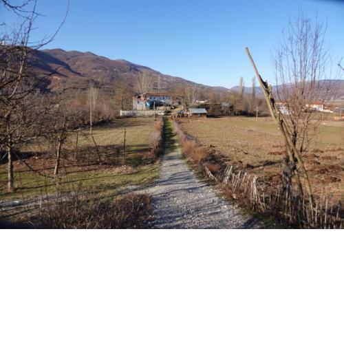 Guesthouse Arber