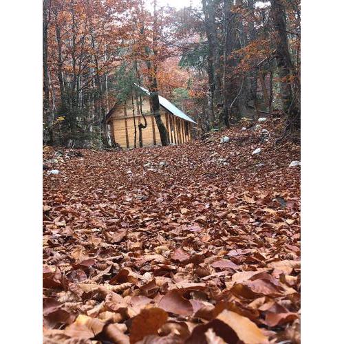 Guesthouse Dioni
