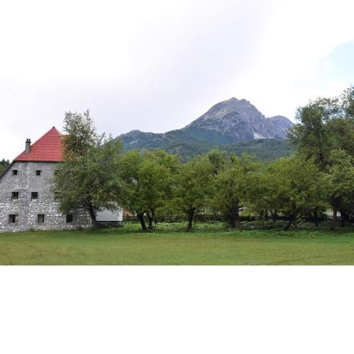 Guesthouse Jezerca