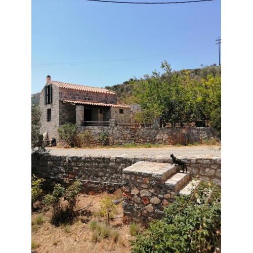Guesthouse Kamara II