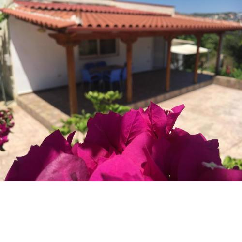 Guesthouse Nedin