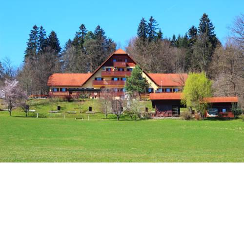 Guesthouse Pri Cebelici