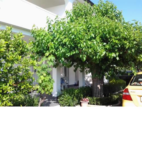 Guesthouse S & M