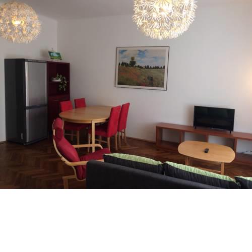 Guestin 3Room Family Apartment @ Jireckova
