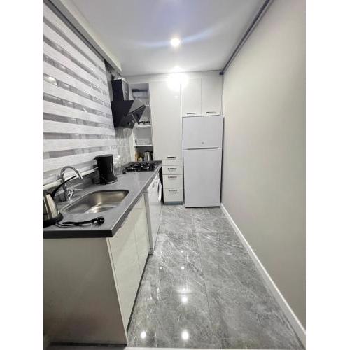 Günlük Haftalık Daire