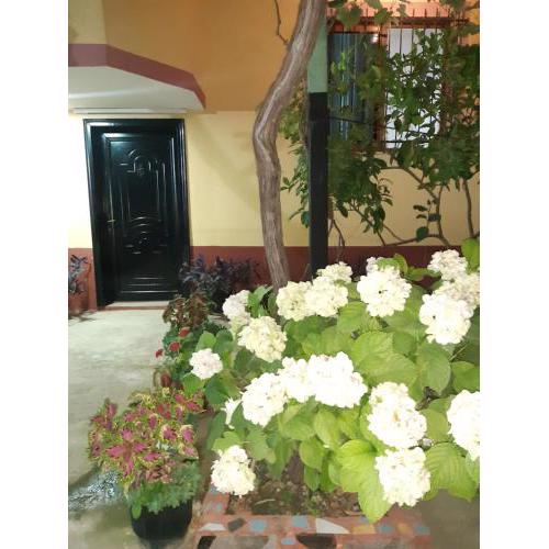 H&A Guest House