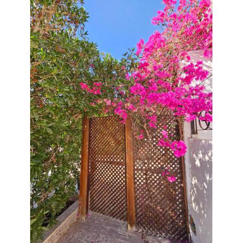 hadaba villa 51D