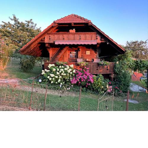 Hadassa Apartment Mutzli