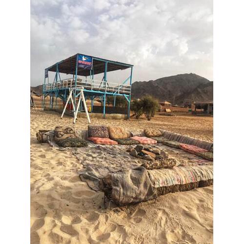 Half Moon Camp