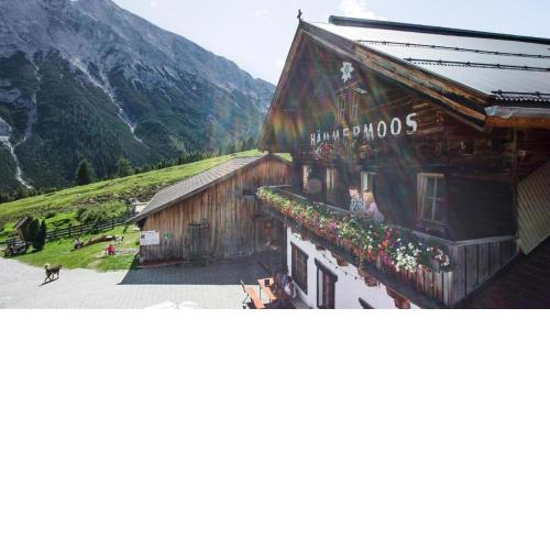 Hämmermoos Die Alm