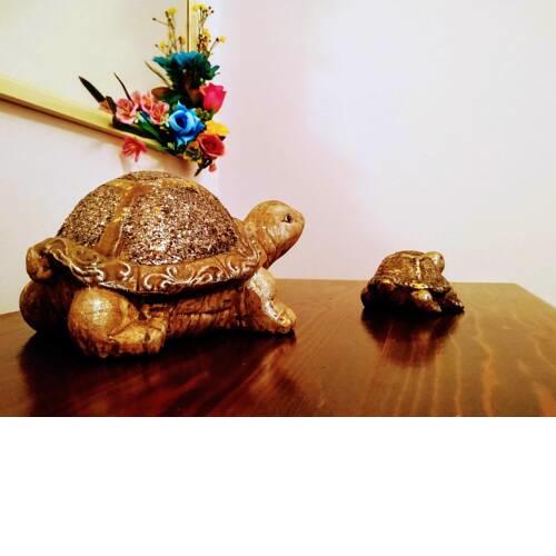 Happy Little Turtles