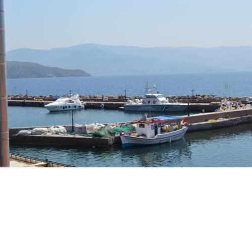 Harbour View House