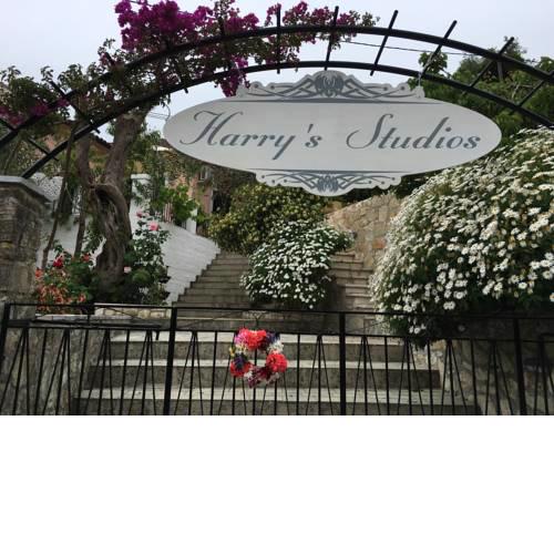 Harry's Studios
