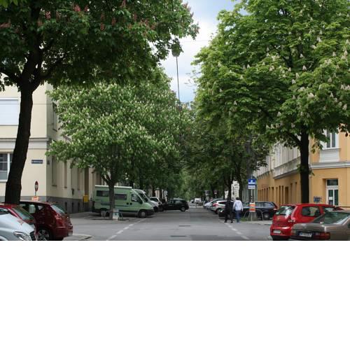Hasner Studio Apartment A