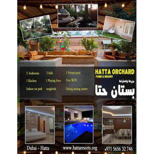 Hatta Orchard