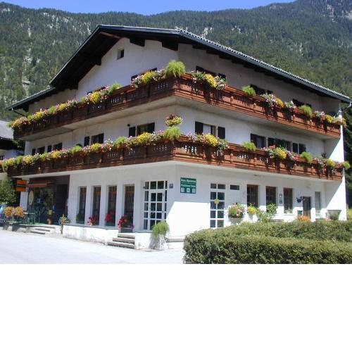 Haus Alpenrose Obertraun