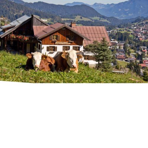 Haus Bergfelder
