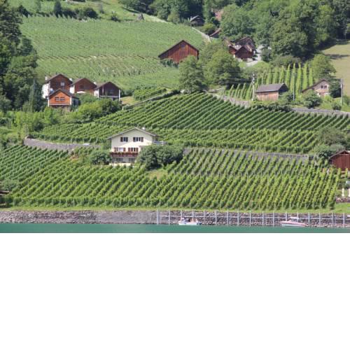 Haus Bünten