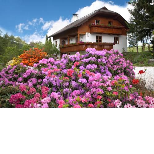 Haus Elfi