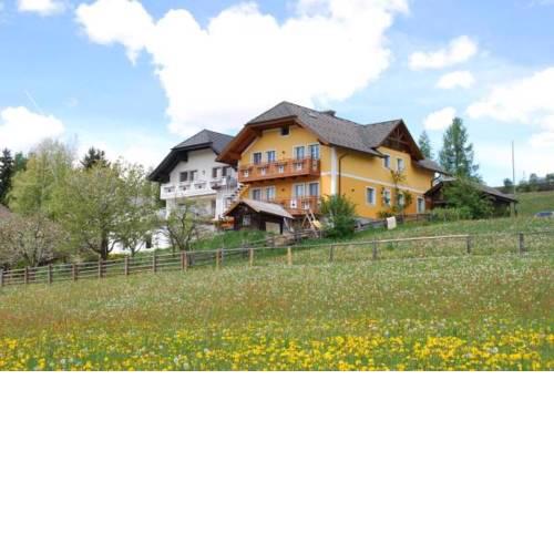 Haus Holzer Panorama
