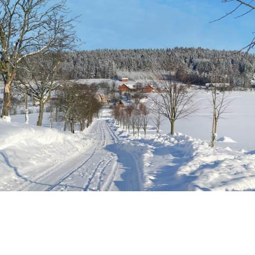 Haus Kaprasova 100S