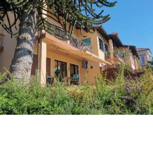 Haus Mimosa
