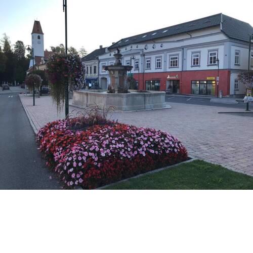 Haus Ronny