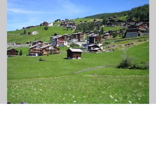 Haus Sunshine
