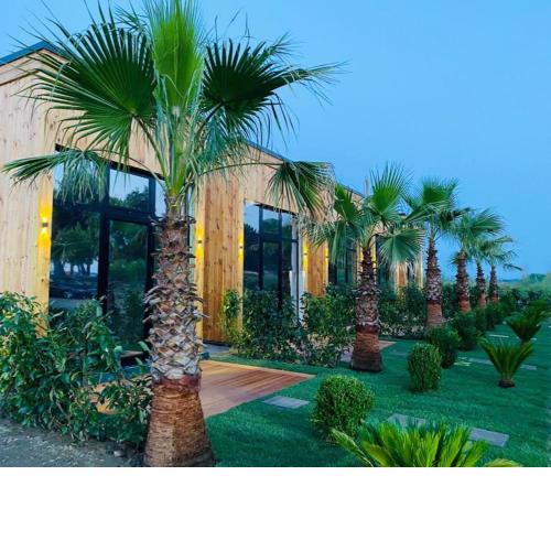 HAVANA HOUSE