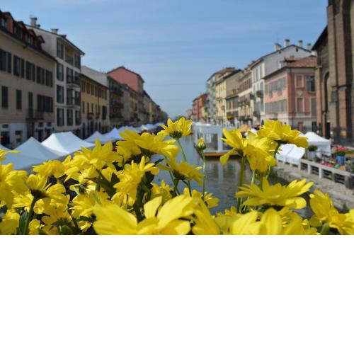 Hbhall Residenze Darsena