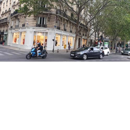 Heart of Odeon ,hyper Center Paris, french style,close to all, good for trip
