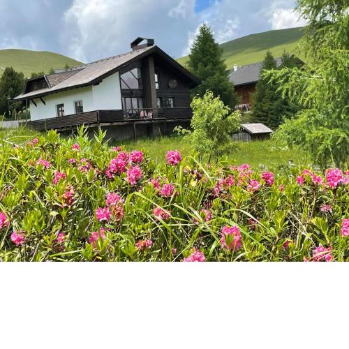 Heidi-Alm Lodge