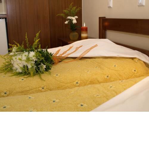 HELEN'S ROOMS