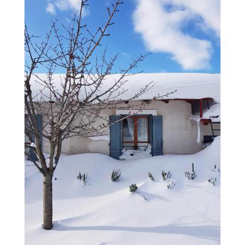 Helicon Muses Friendly Mountain B&B Guesthouse