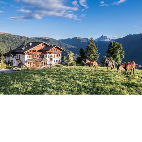 Herol - my mountain retreat
