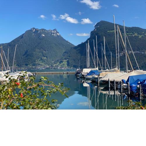 Herrlicher Blick auf Berge und See