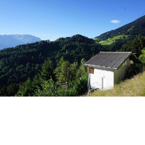 HERZLI-CHALET über dem Rheintal mit Schlossblick