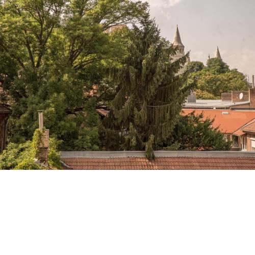 Hi5 Apartment Buda Castle