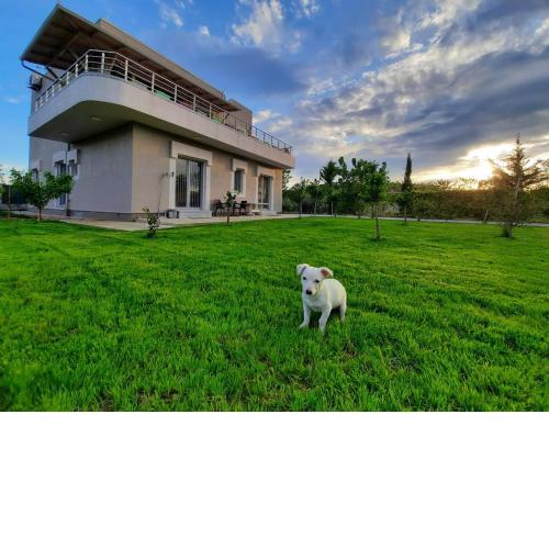 HILLTOP HIDEAWAY